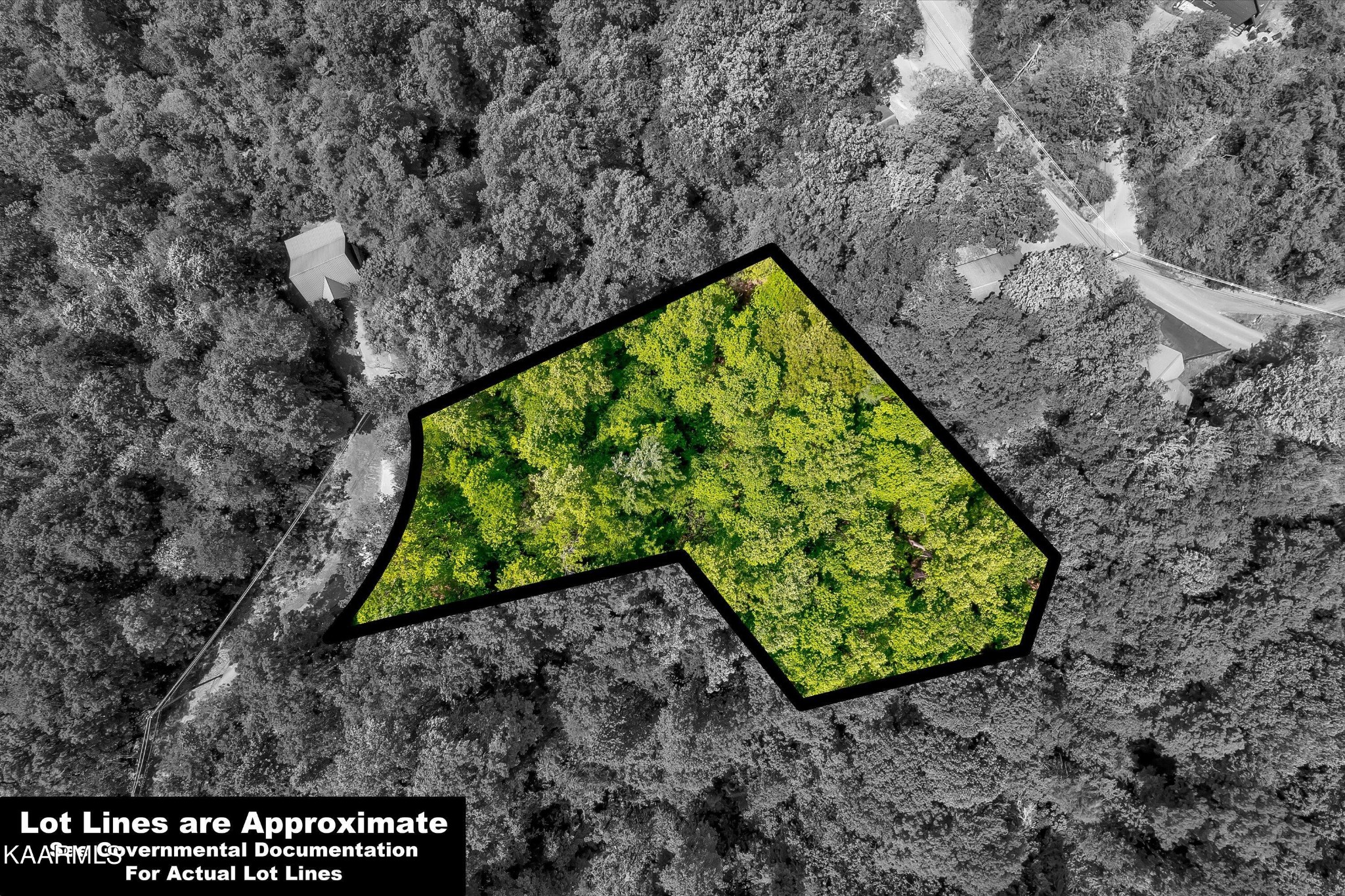 650 Silver Poplar Lane