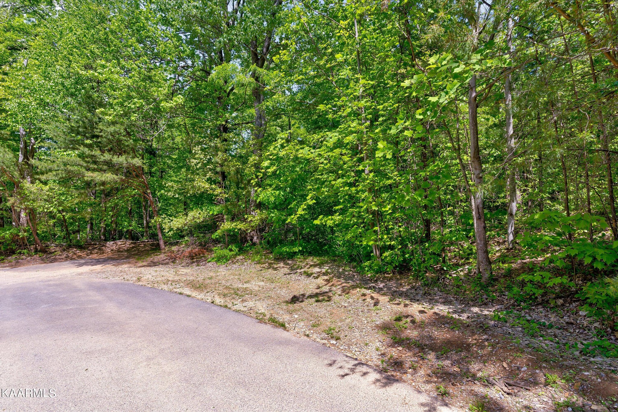 650 Silver Poplar Lane