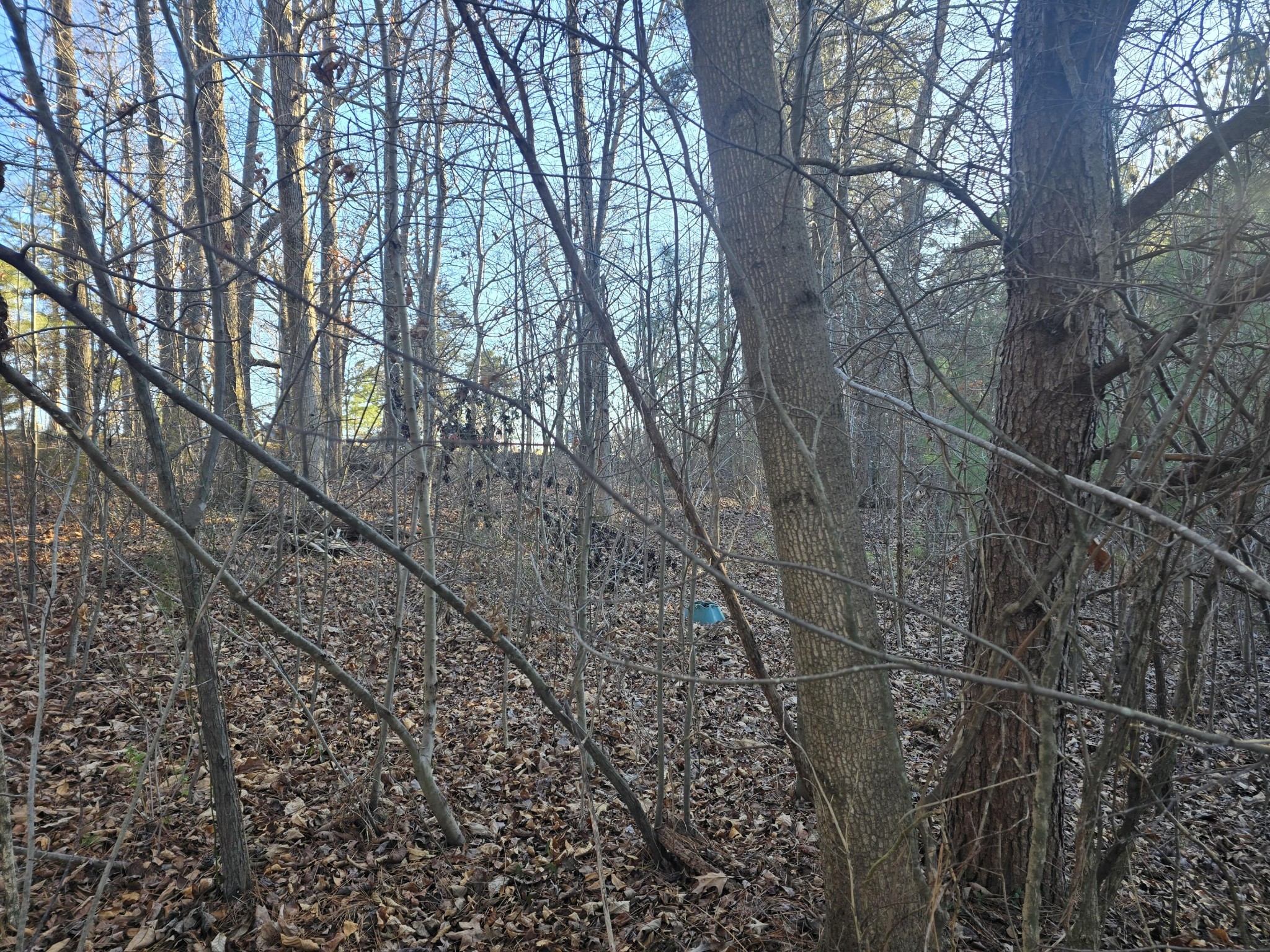 0 Pin Oaks Circle NE