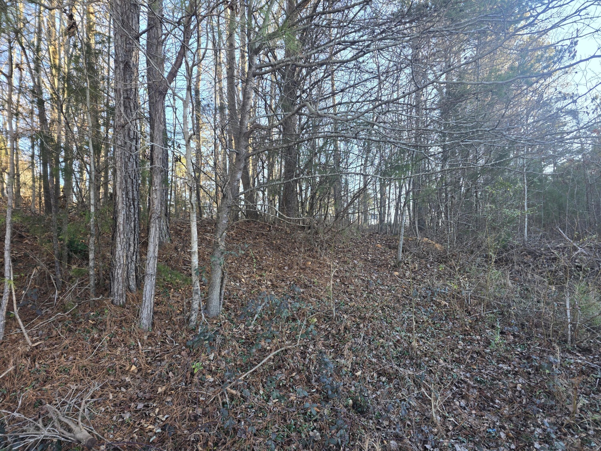 0 Pin Oaks Circle NE