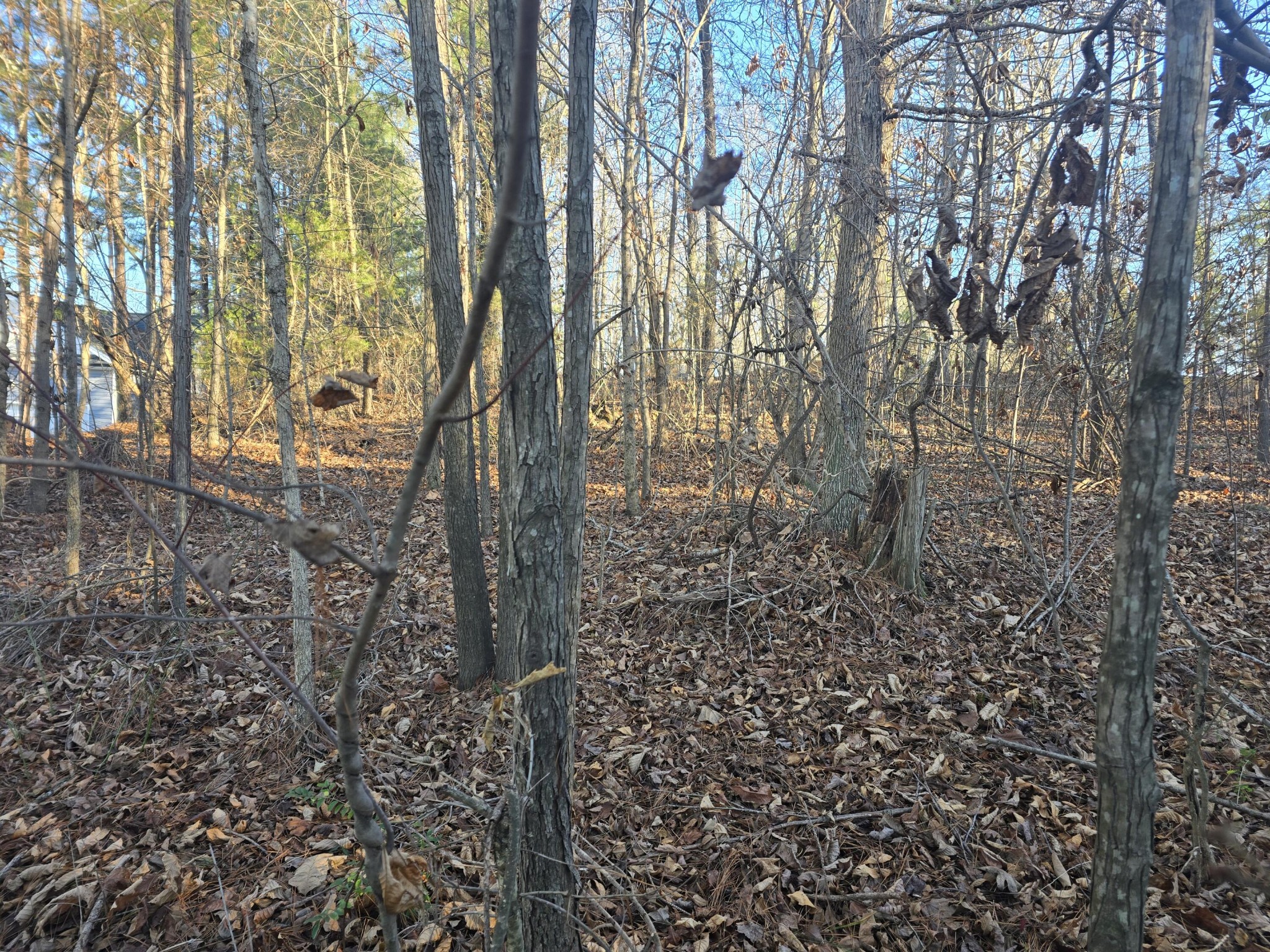 0 Pin Oaks Circle NE