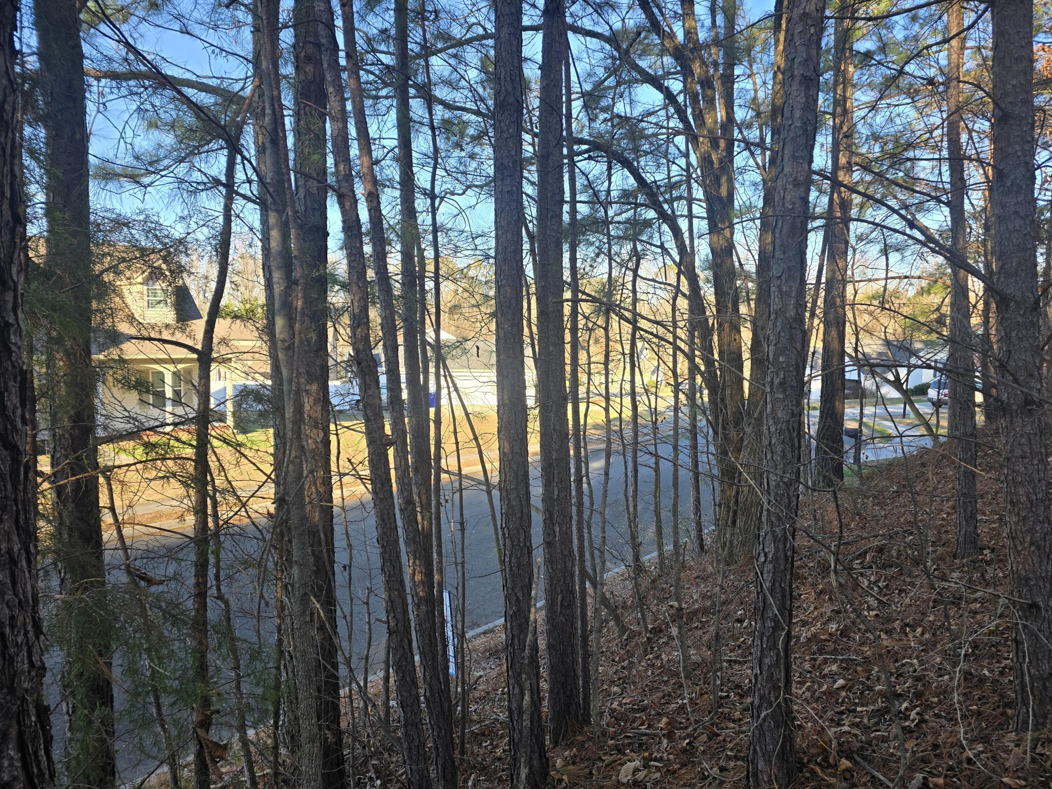 0 Pin Oaks Circle NE