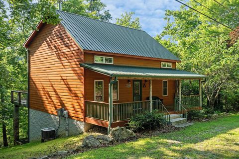 1235 Lakeview Dr Smithville TN 37166