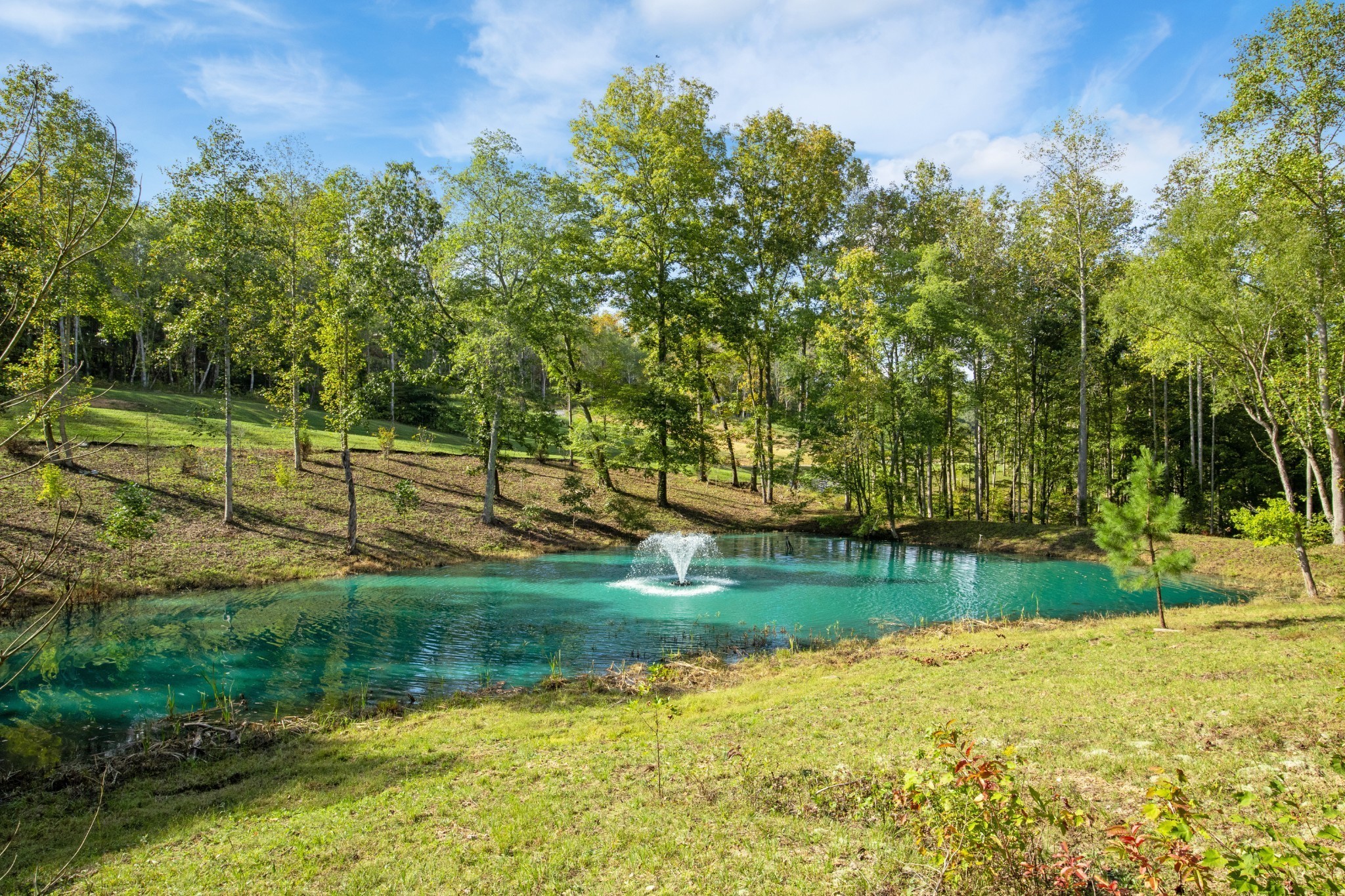 6057 Stone Cliff Lane, Franklin TN 37064 0-bed lot, photo 5 of 6