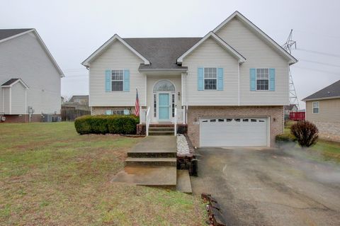 665 Winding Bluff Way, Clarksville, TN 37040 - MLS#: 2815668