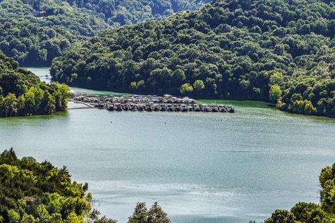 0 Seaton Dr Smithville TN 37166