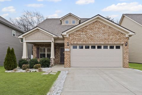 228 Eusa Cantrell Ln, Smyrna, TN 37167 - MLS#: 2789898
