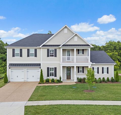 3009 Lilybelle Ct Arrington TN 37014