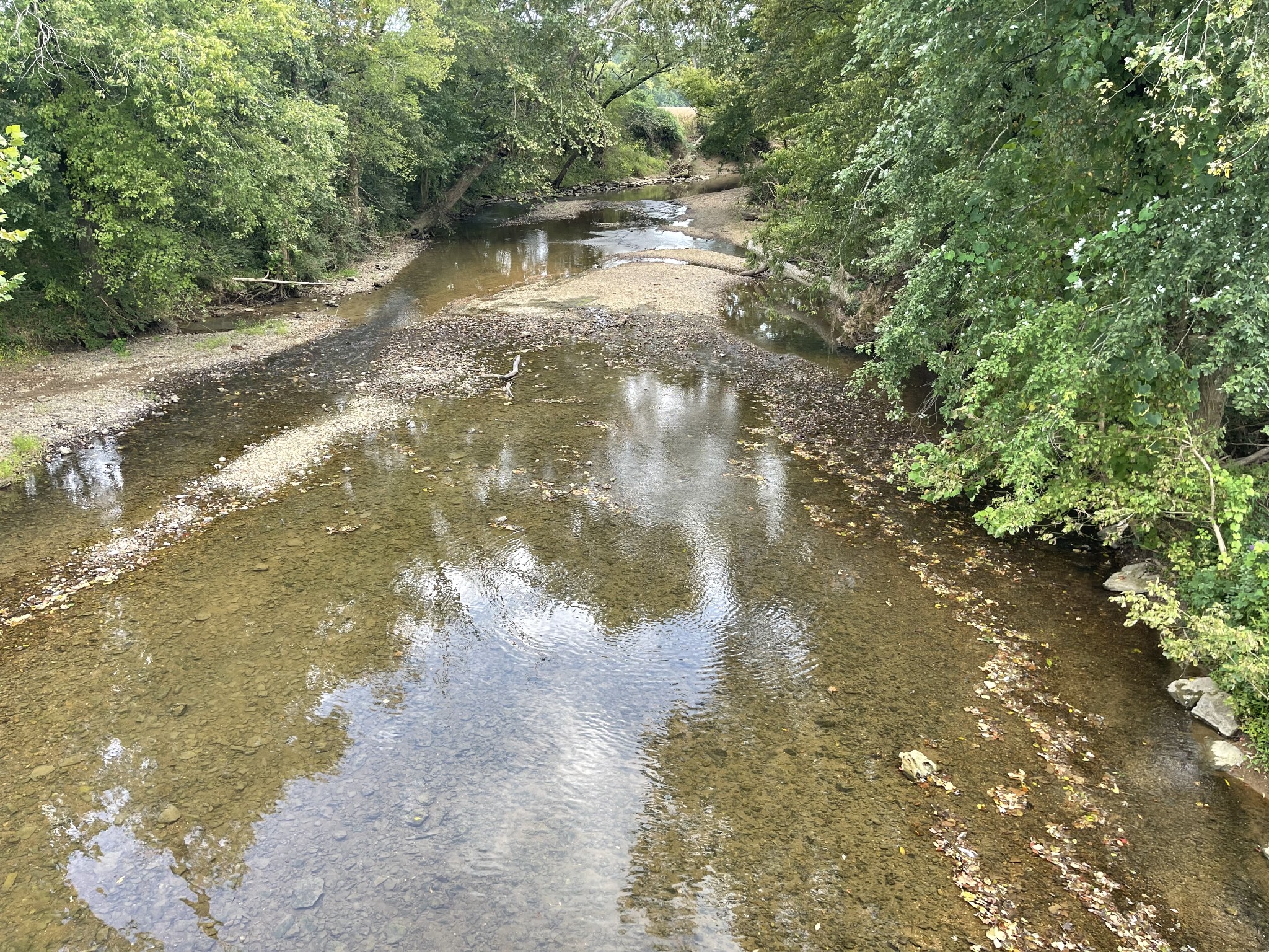 0 McBurg Dellrose Rd Tract 3