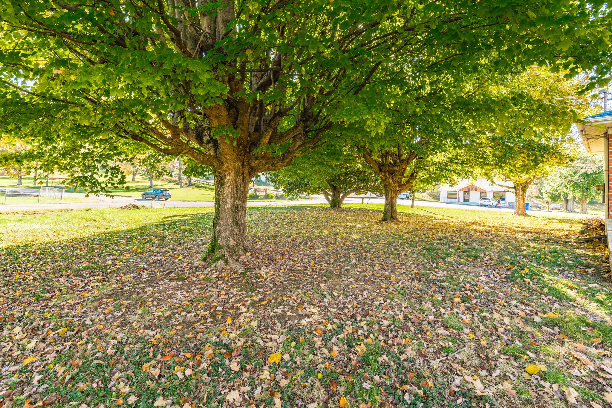 5121 Austin Peay Hwy