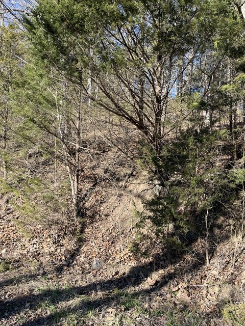 0 Davis Hollow Dowelltown TN 37059