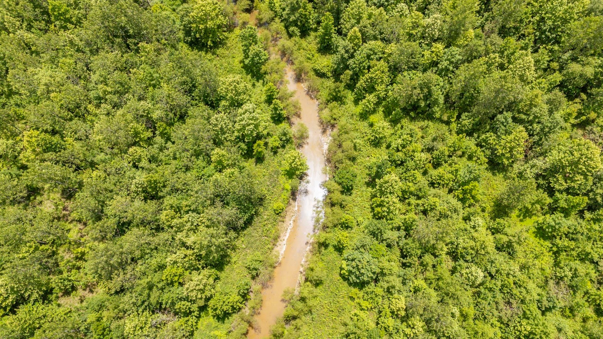 904 CAPOOTH RD