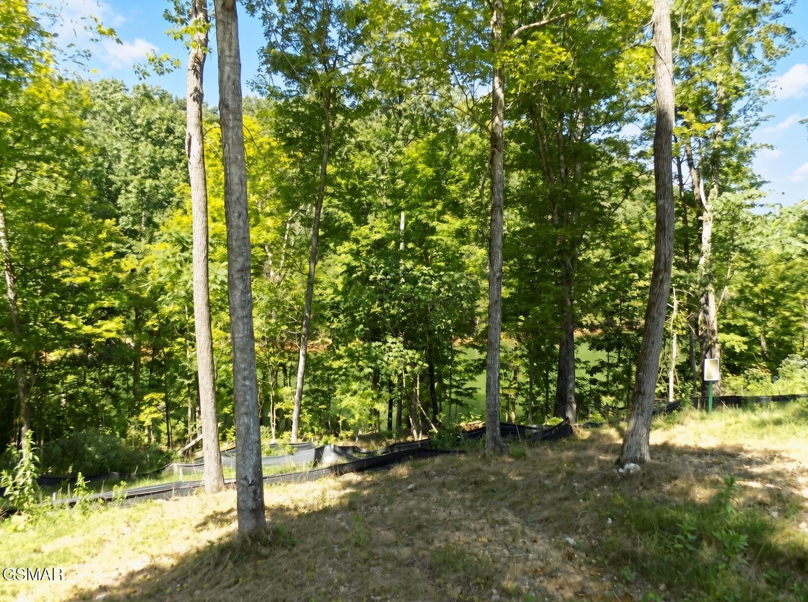 35 Graystone Shoals