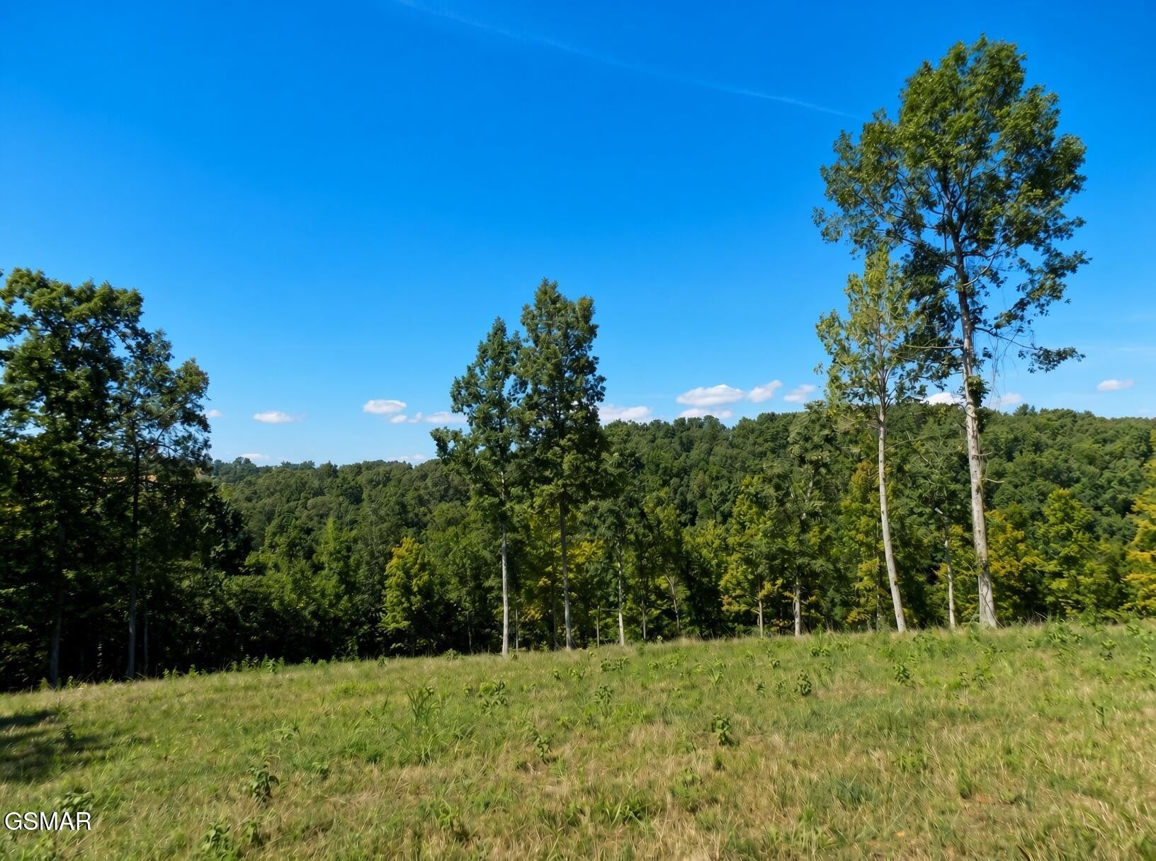 35 Graystone Shoals