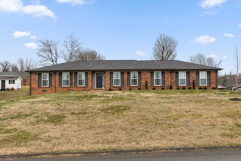 Photo of 8113 Holly Hills Lane, Chattanooga, TN 37421 (MLS # 3136585)