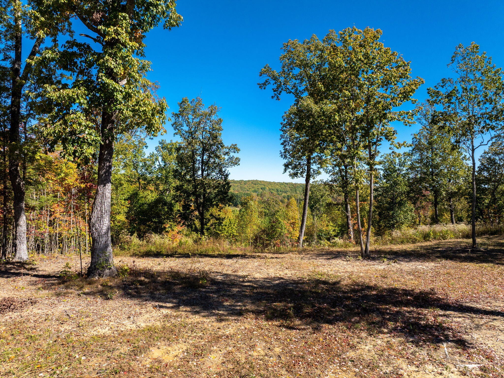 482 Coke Bowman Road