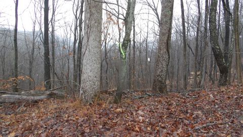 0 Savannah Drive Smithville TN 37166