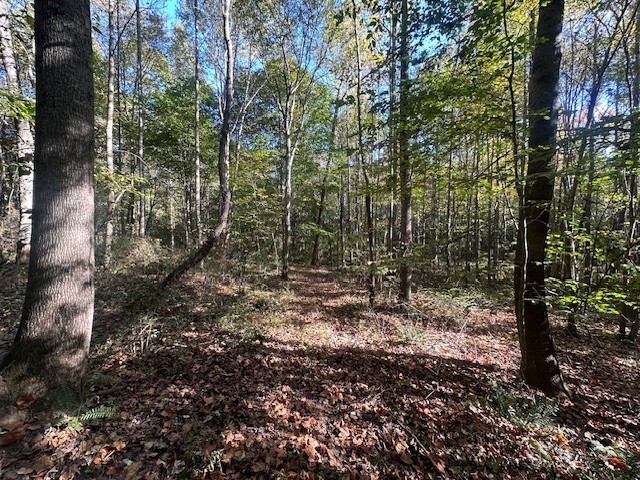 534 Whitney Branch Rd