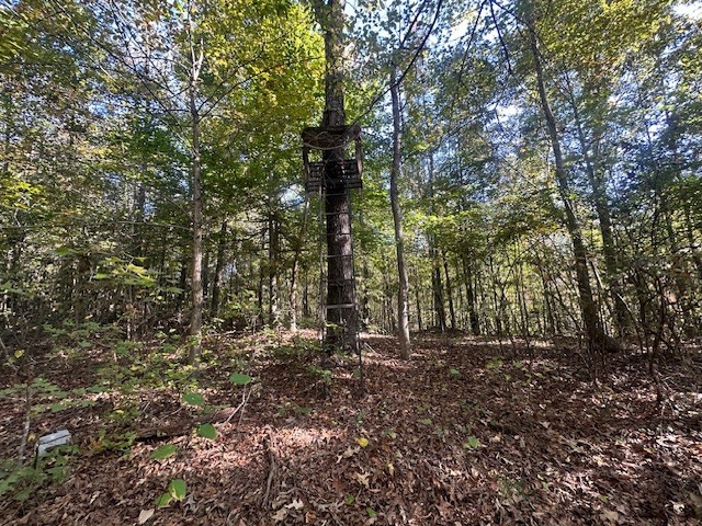 534 Whitney Branch Rd