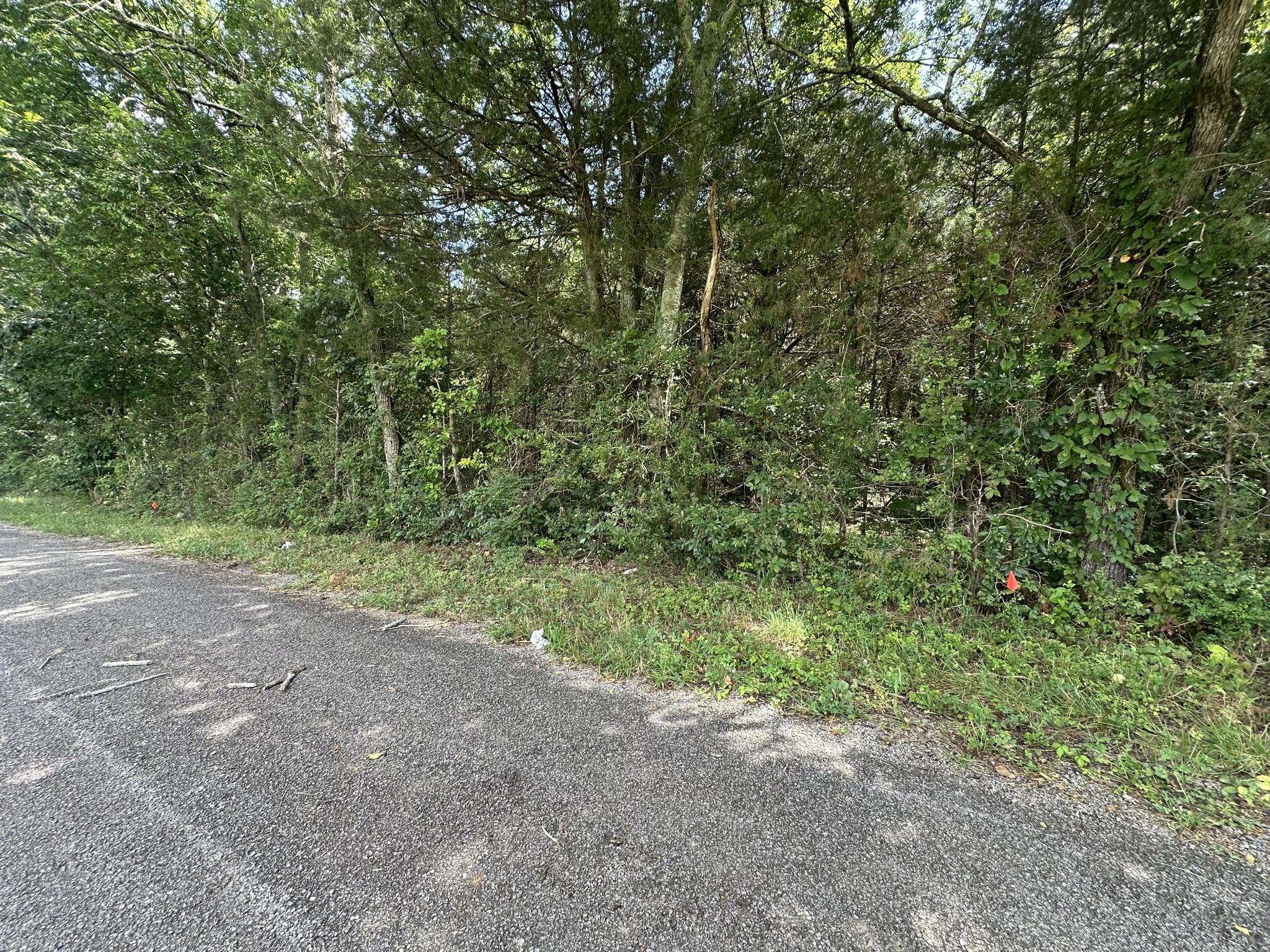 2951 Roy McCollum Rd