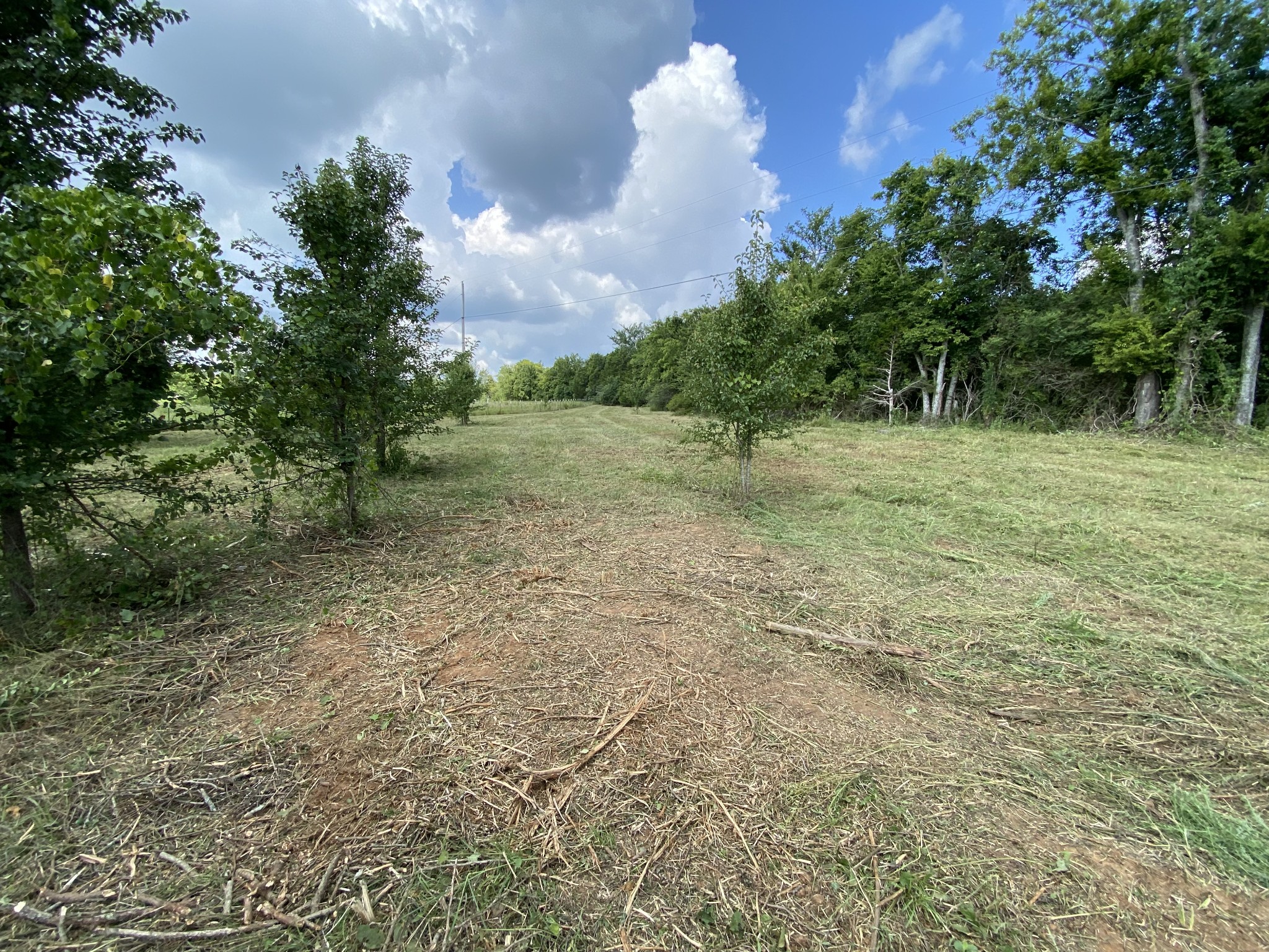 2951 Roy McCollum Rd
