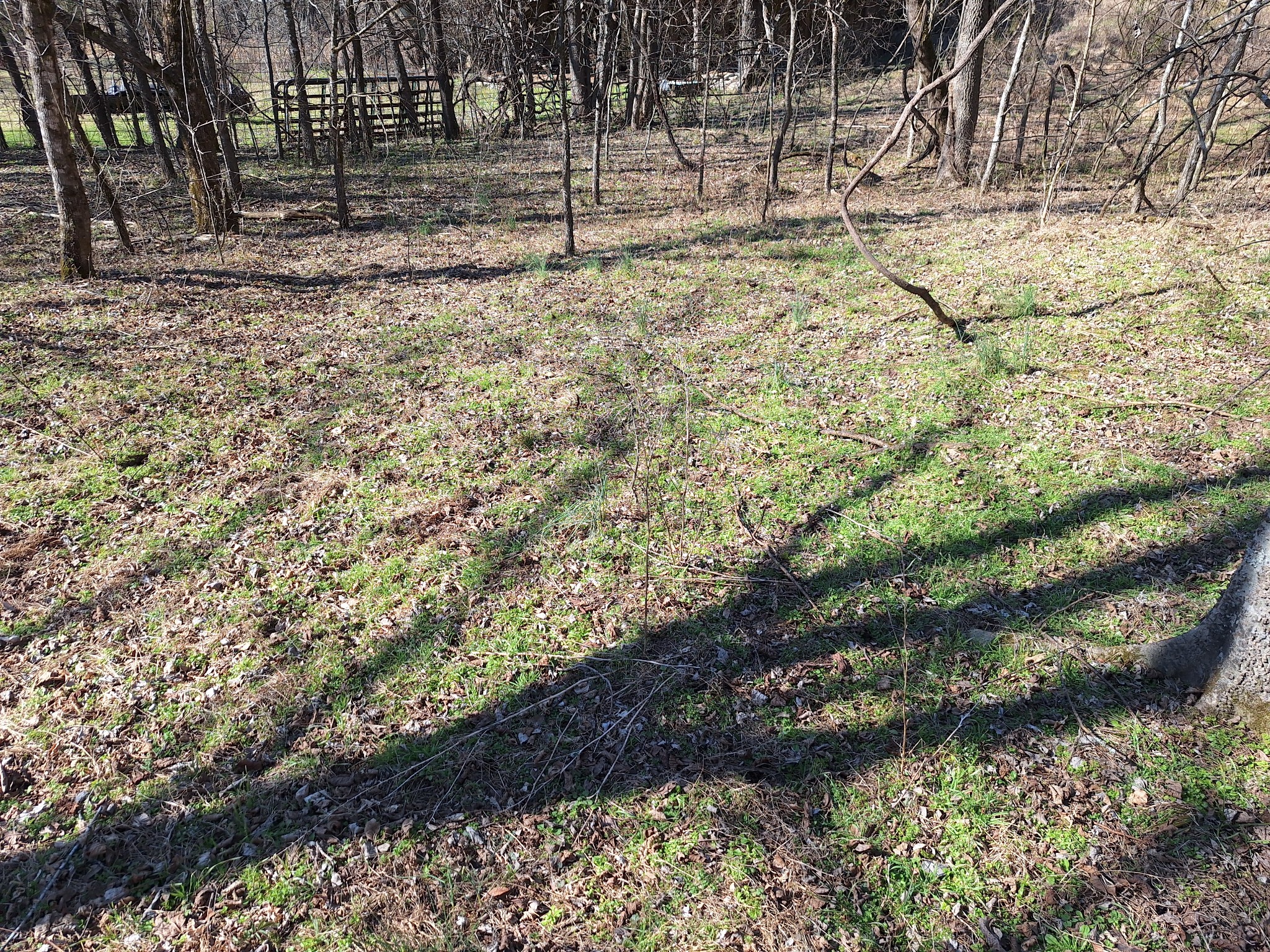 0 Hurricane Creek Rd E