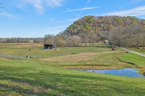 1277 Campbellsville Pike Lynnville TN 38472
