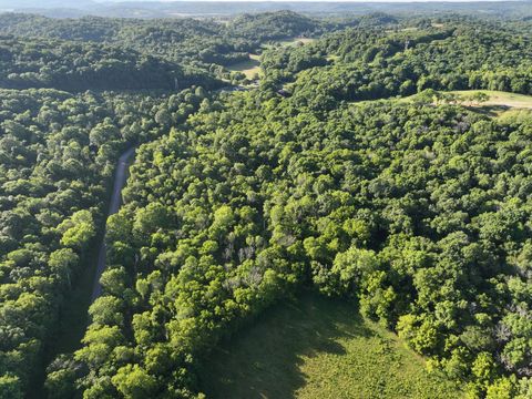 4 Reece Church Rd Columbia TN 38401