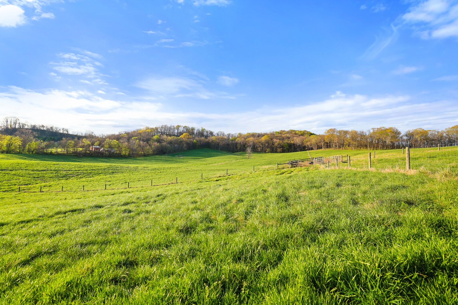 2161 Mooresville Pike