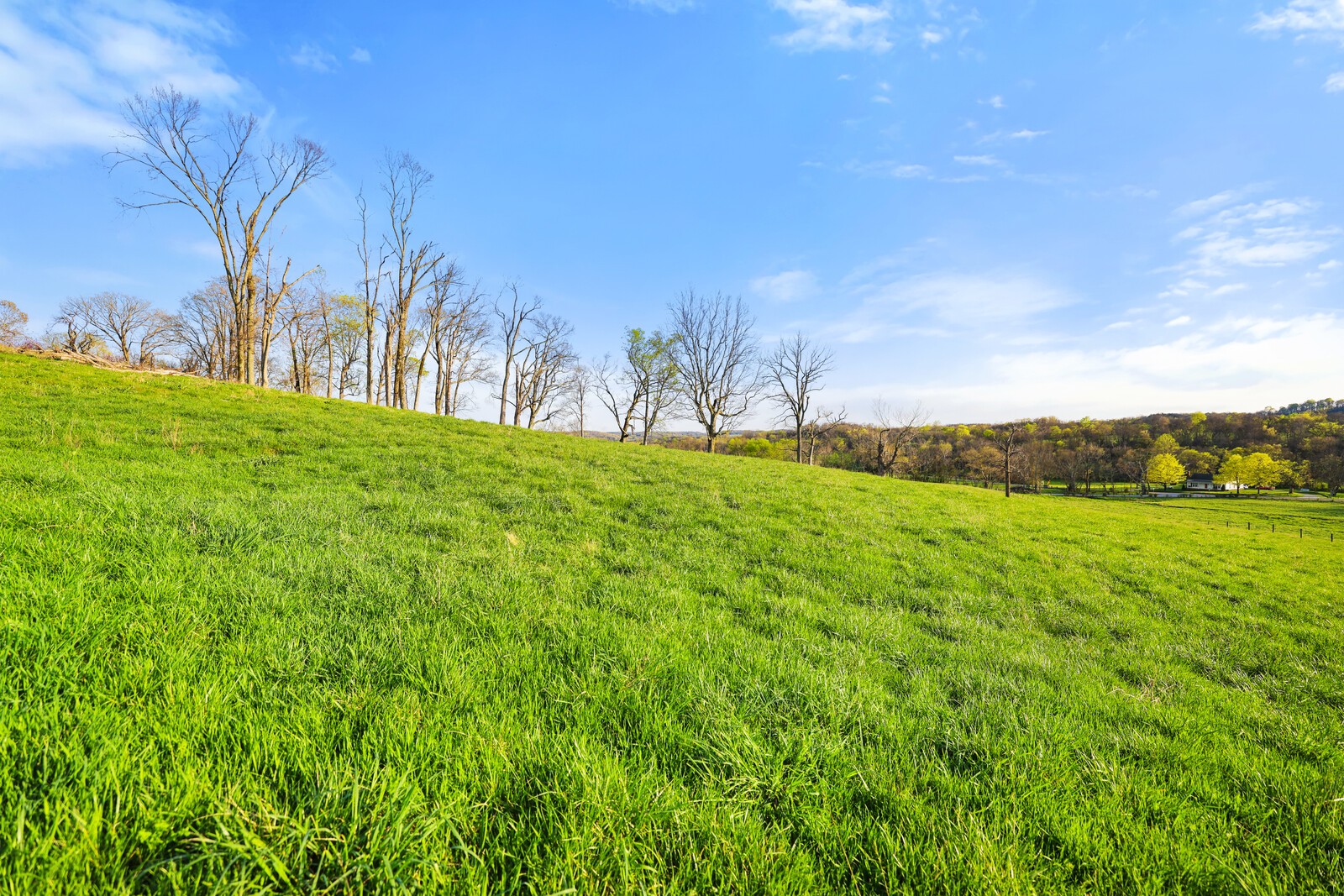 2161 Mooresville Pike