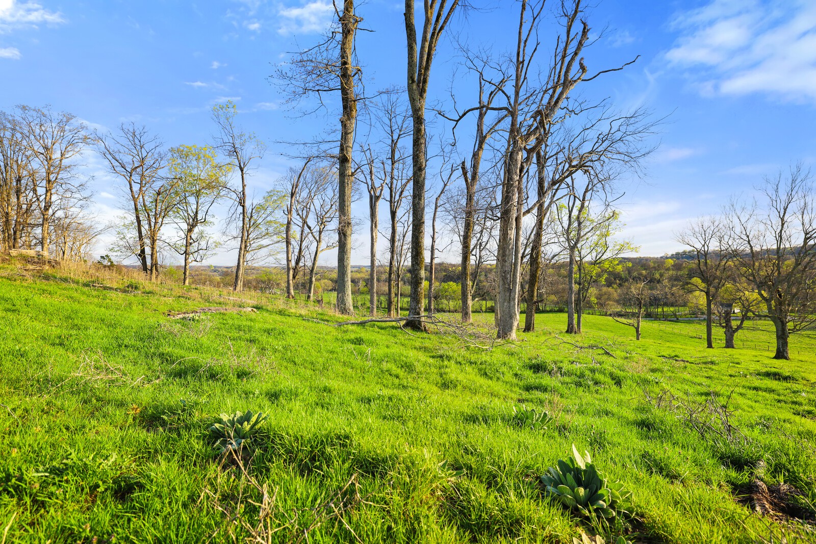 2161 Mooresville Pike