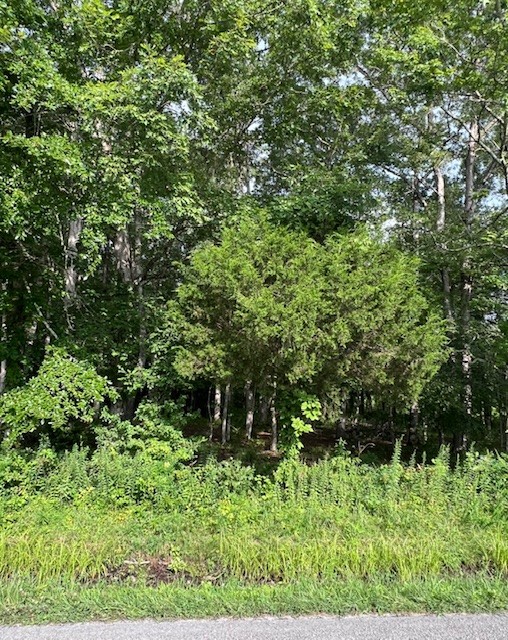 0 Lakewood Park Rd