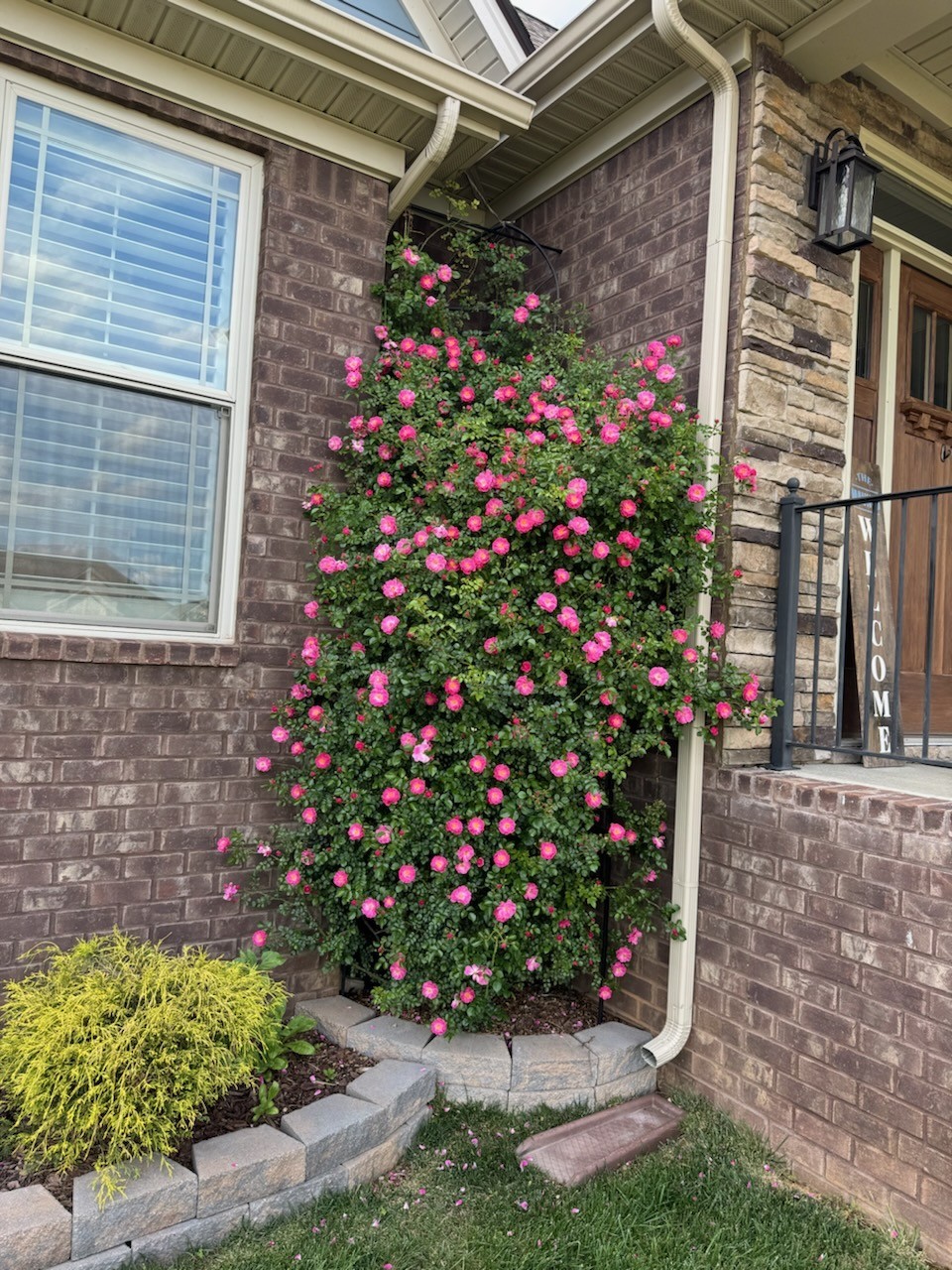Middle Tennessee Properties 4 3502 Courtney Ln