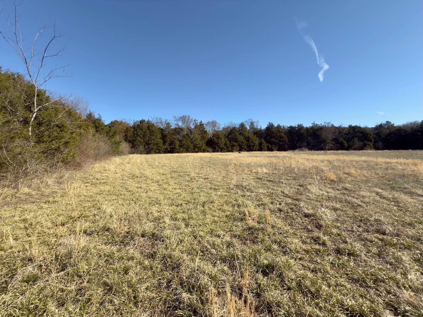 2 Bristol Dr