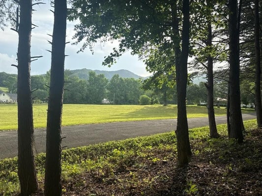HIGHWAY 68, TURTLETOWN, TN 37391 - Image b27d80e271aabf67fcc1871c70cbd6cf/2736001545