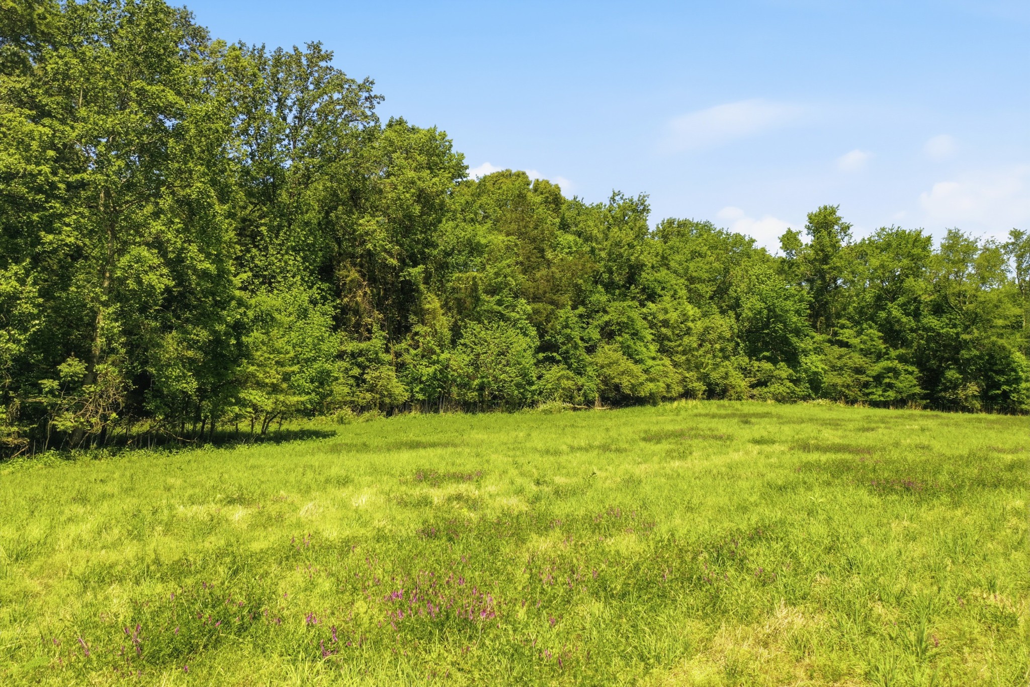 0 Gholson Road