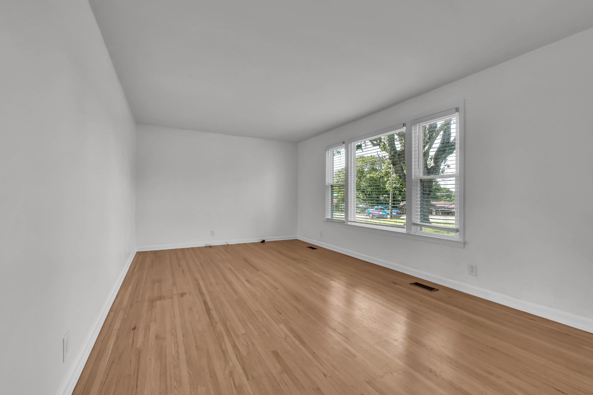 231 Alfred Dr