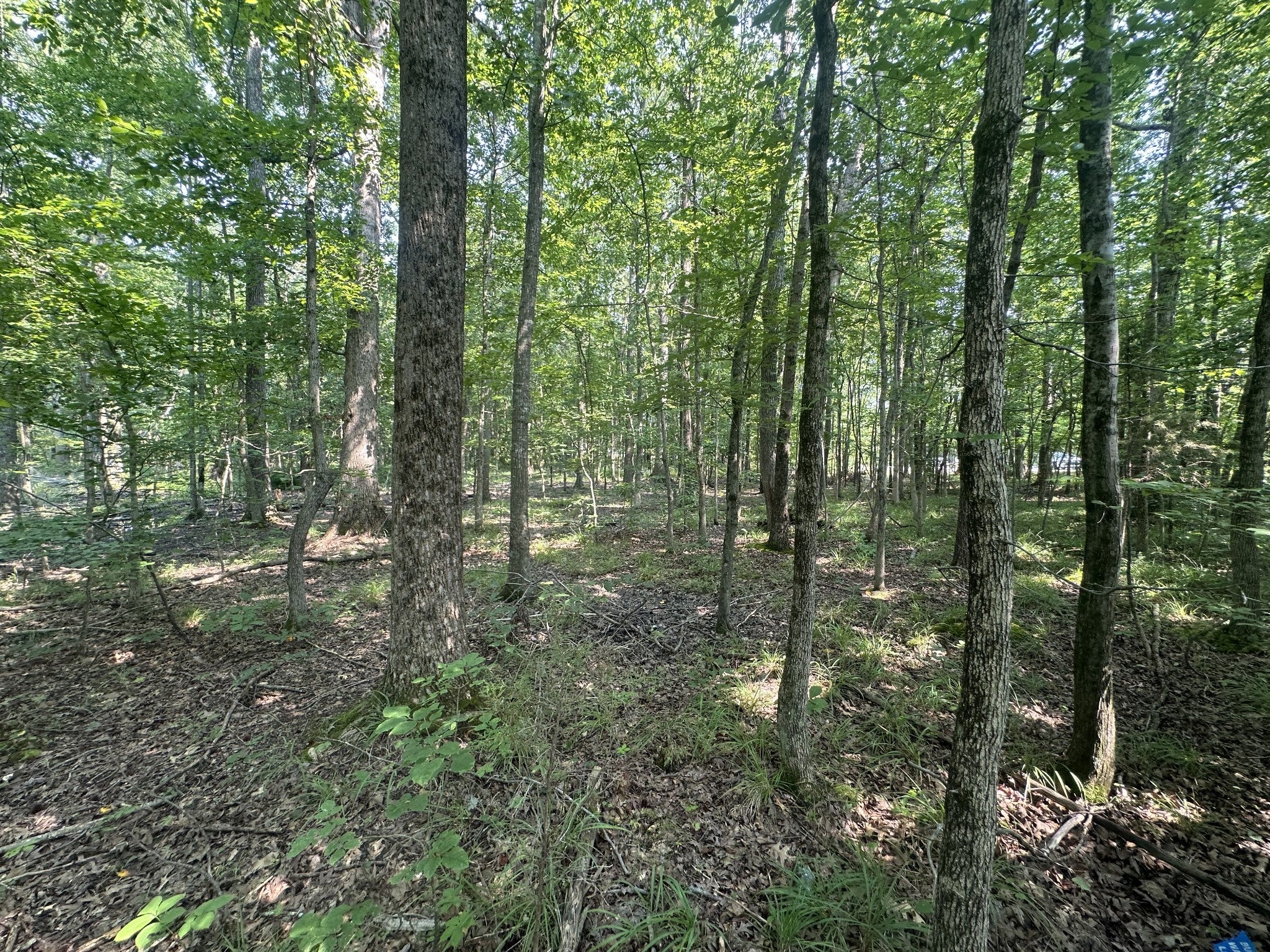 0 S Pinson Dr