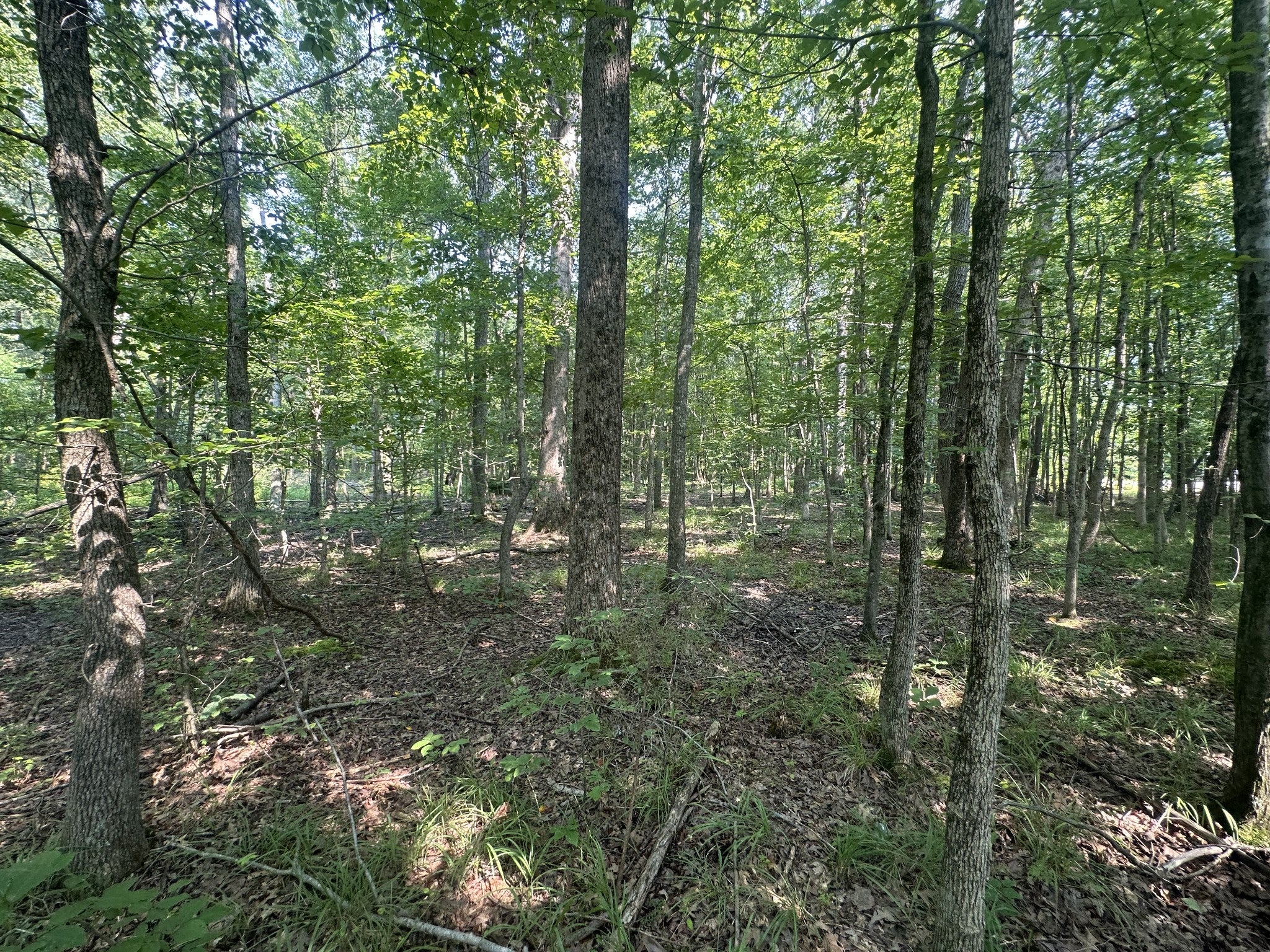 0 S Pinson Dr