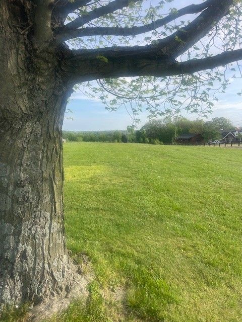 7748 Webster Rd White House TN 37188