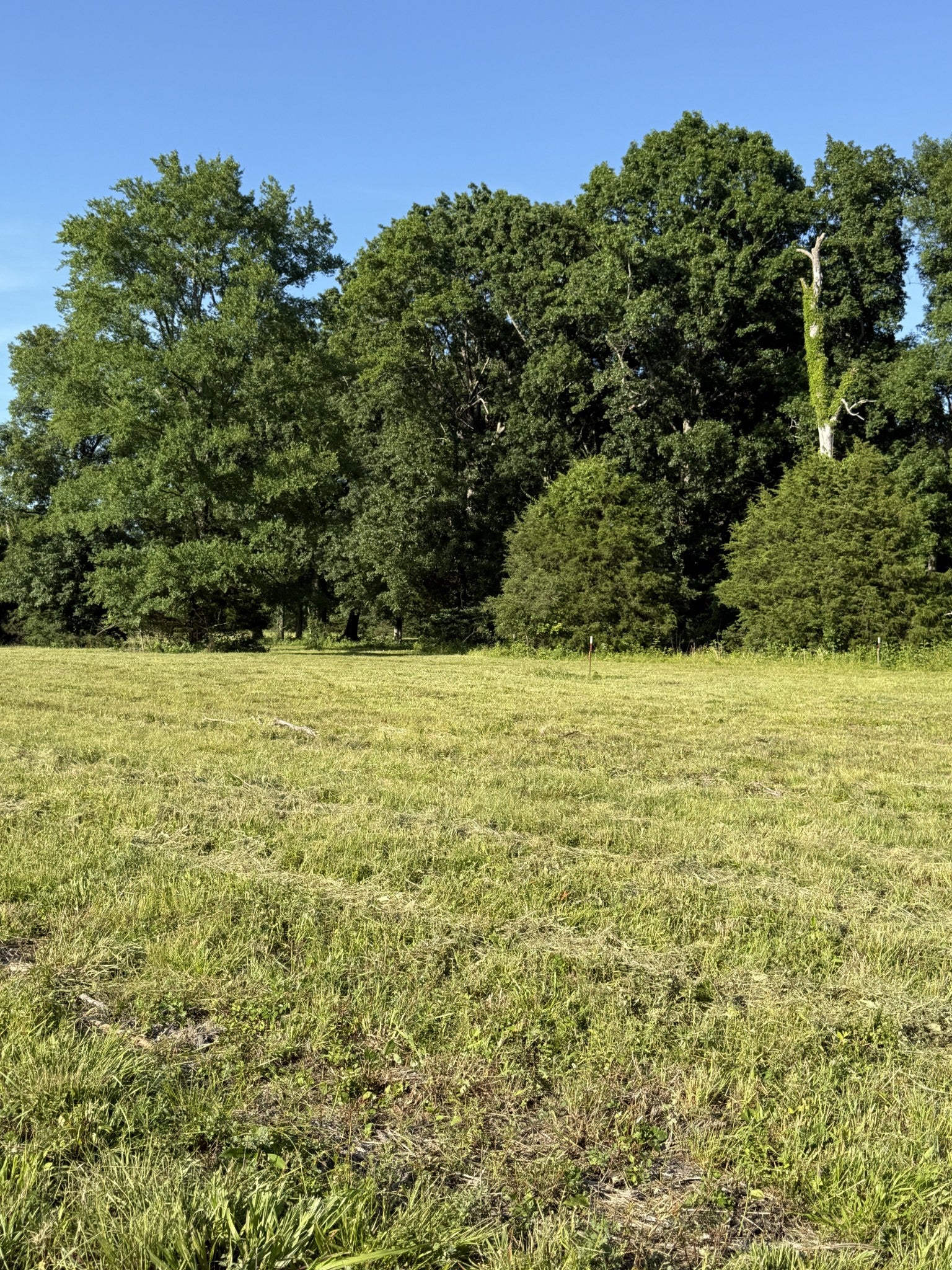 1988 Fayetteville Hwy