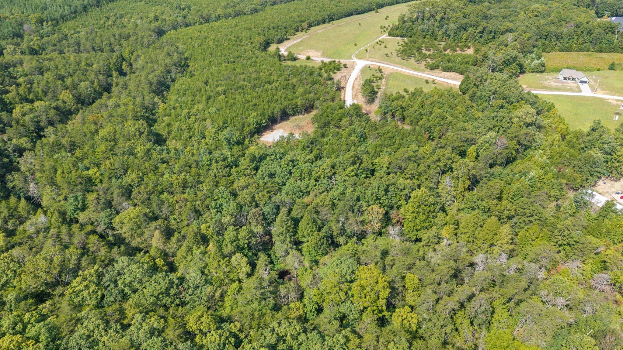 54 Creekview Ln