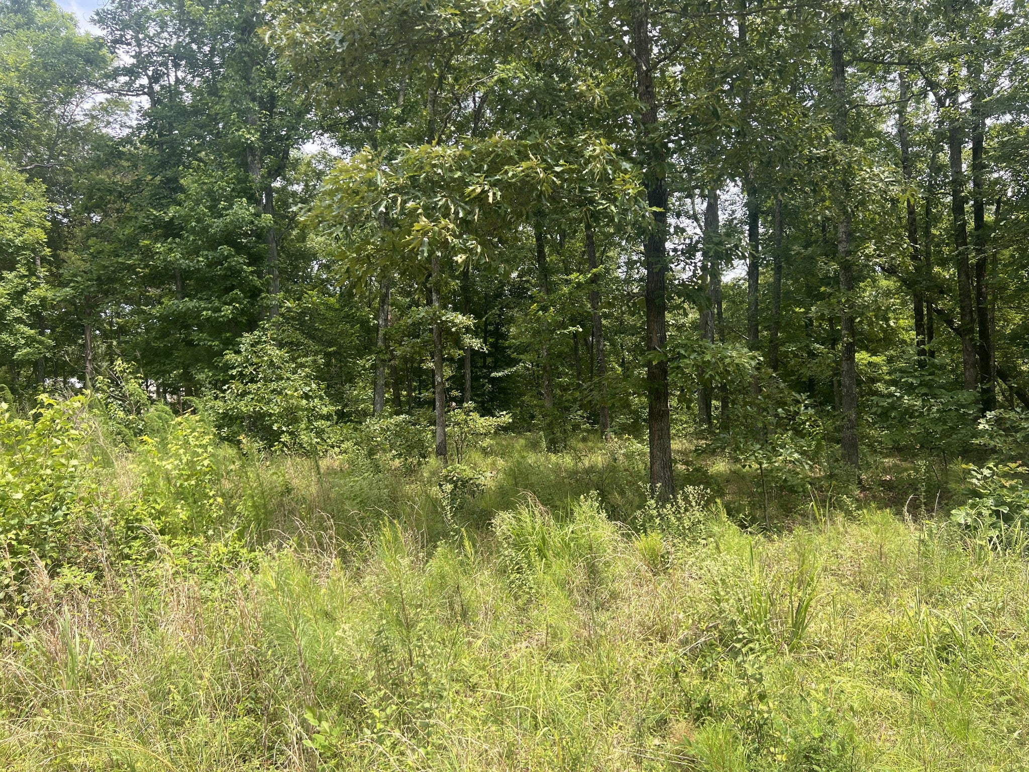 1 LakeView Drive