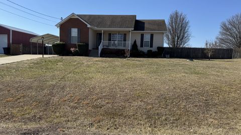 Photo of 119 Whispering Water Ct, Christiana, TN 37037 (MLS # 3124507)