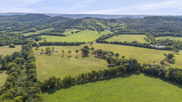 ARBOR HILL RD, PETERSBURG, TN 37144 - Image b31d4b79b0f5029ee4d2d62d8b99e77a/1419452854