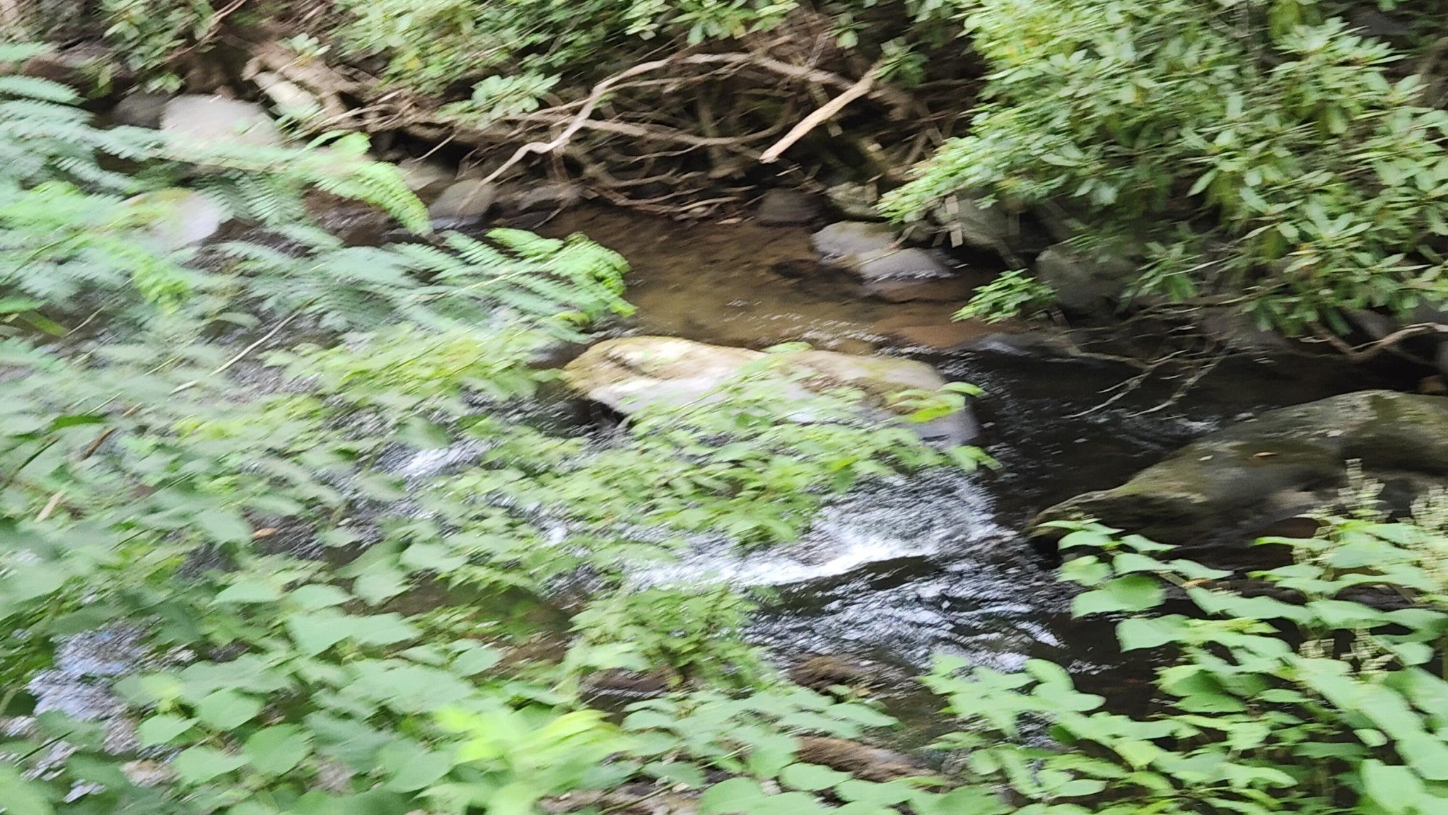 0 Tumbling Creek Road