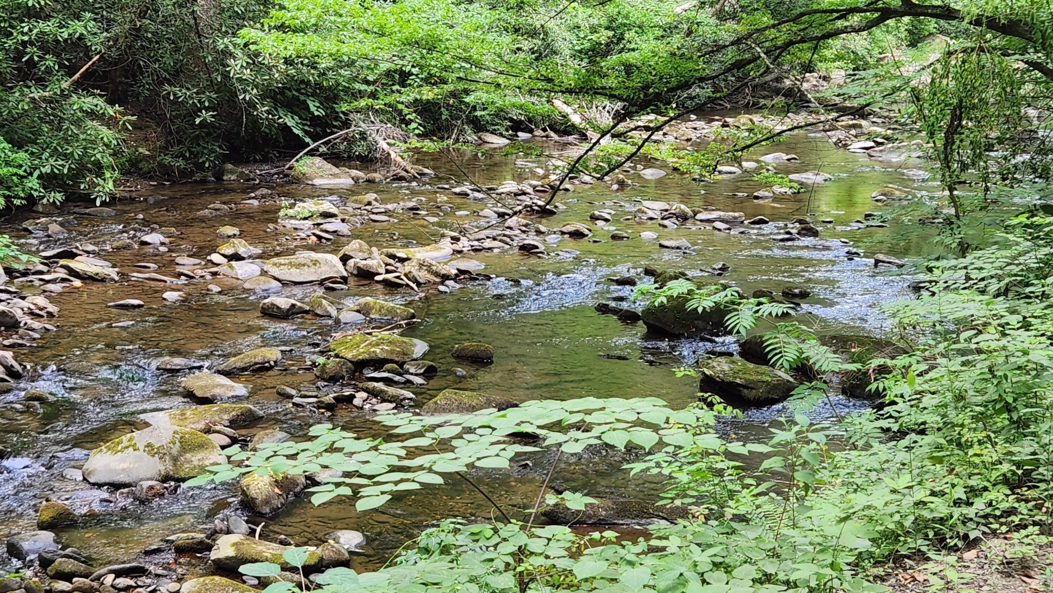 0 Tumbling Creek Road