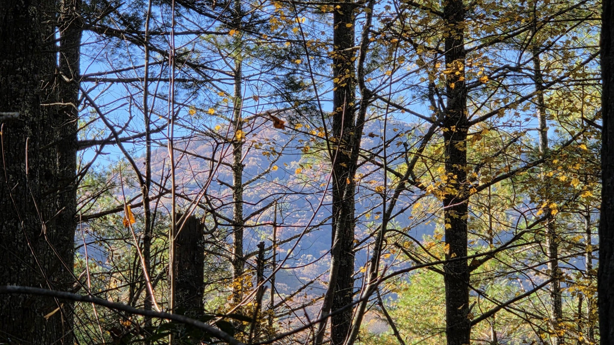 0 Tumbling Creek Road