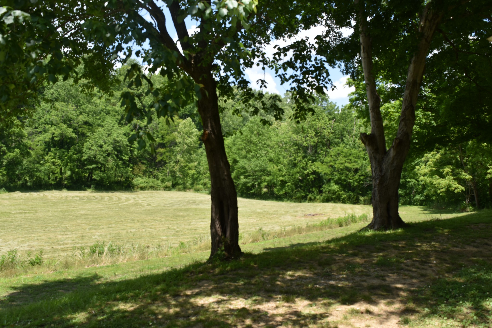 1331 Turkey Creek Loop