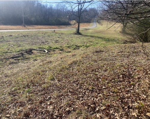 SCENIC DR, PULASKI, TN 38478 - Image b33ef12b0a78c2e797aa2f06a9dc0409/285060892